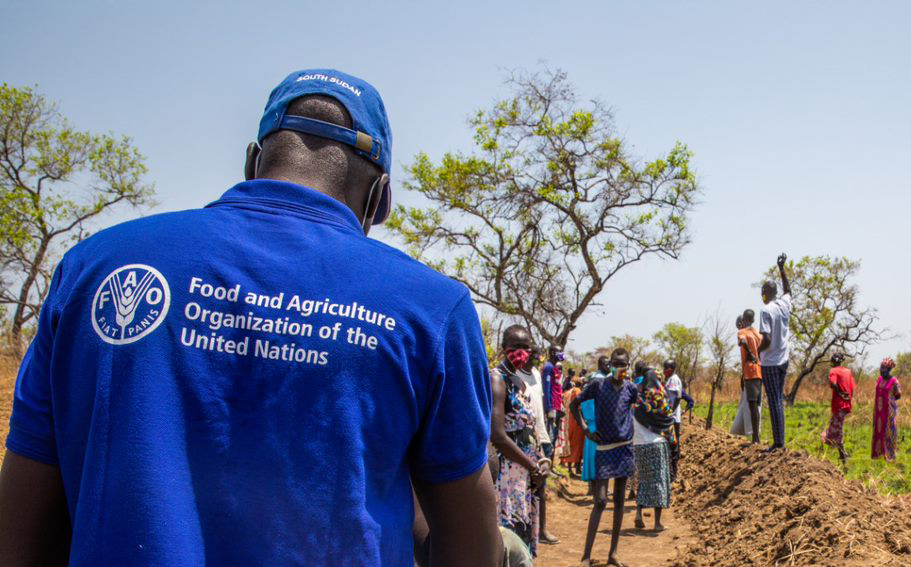 Organisation des Nations unies pour l'alimentation et l'agriculture