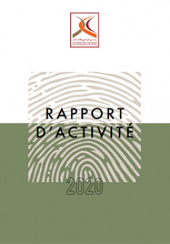 Rapport d'activité 2020