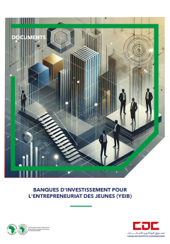 Banque d'Investissement pour l'Entrepreneuriat des Jeunes